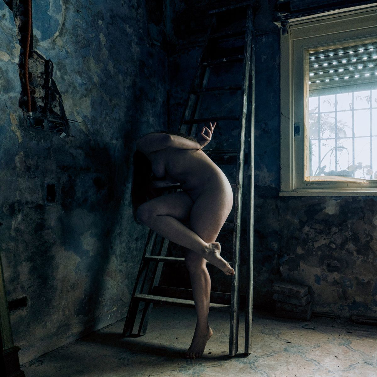Portfolio Image 26